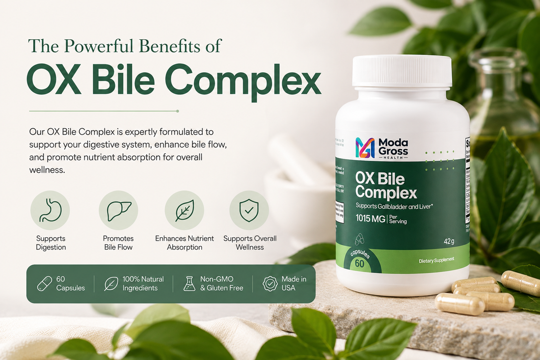 Ox Bile Supplements Explained: How They Support Fat Digestion