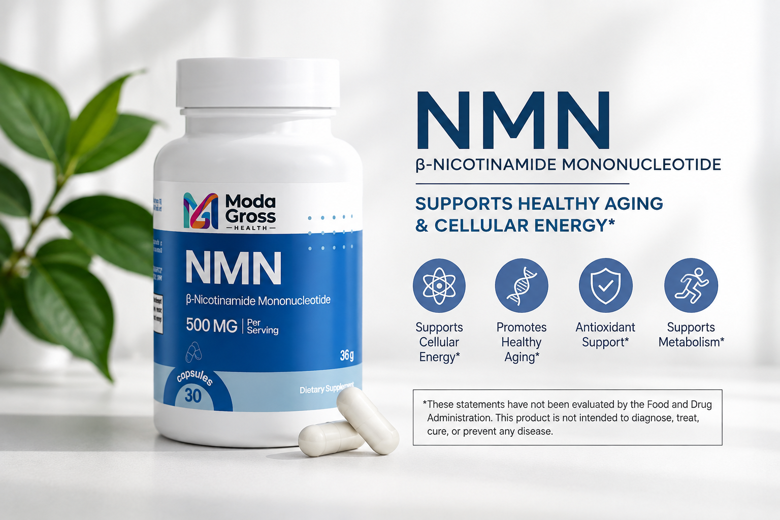 NMN and NAD+: The Longevity Science Behind Aging With More Energy
