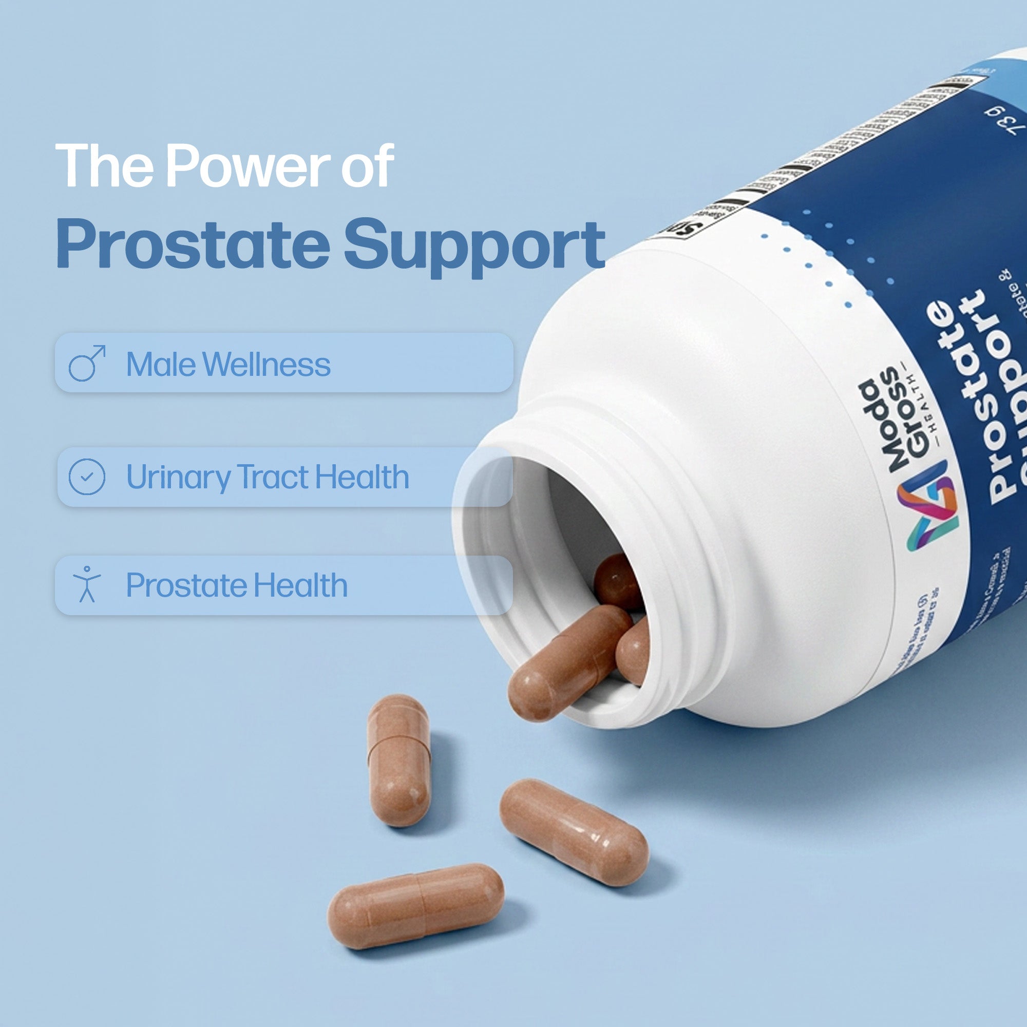 Prostate Support