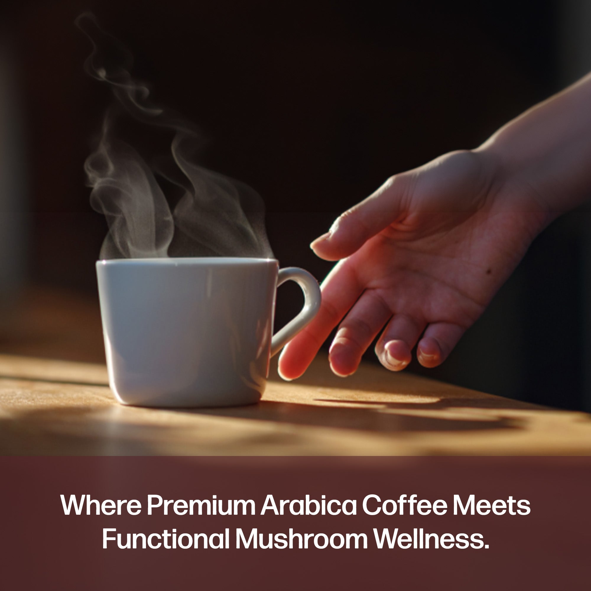 Mushroom Fuse Instant Coffee (Medium Roast)