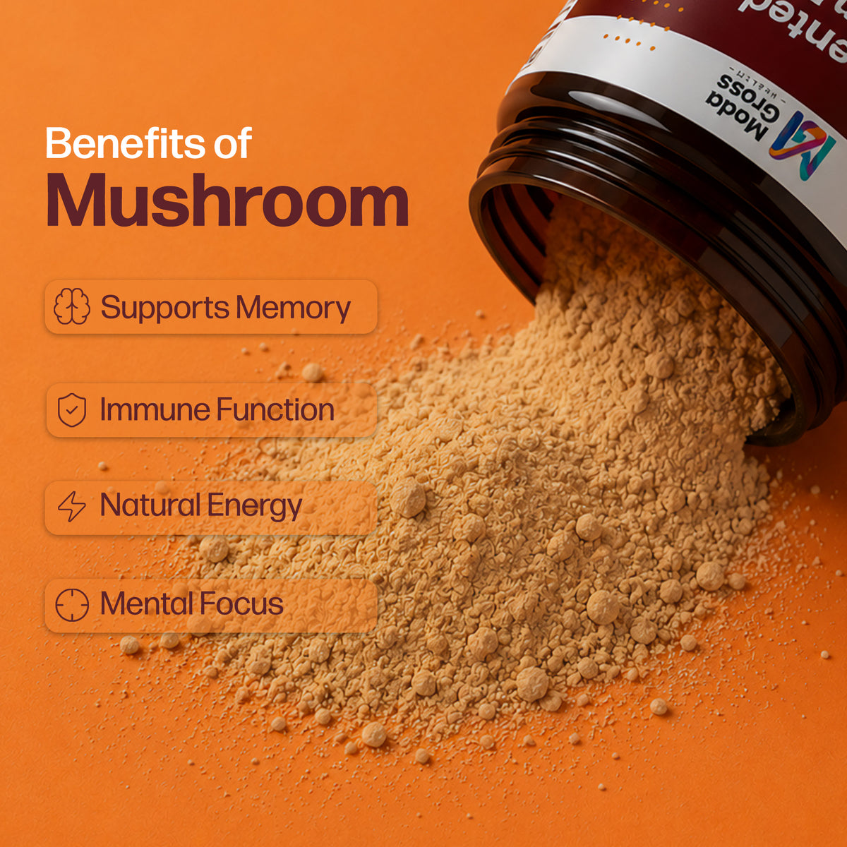 Fermented Mushroom Blend